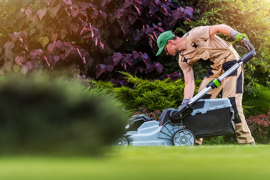 Expert Landscaping Services