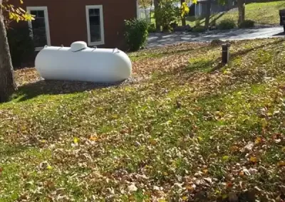 Affordable Lawn Care