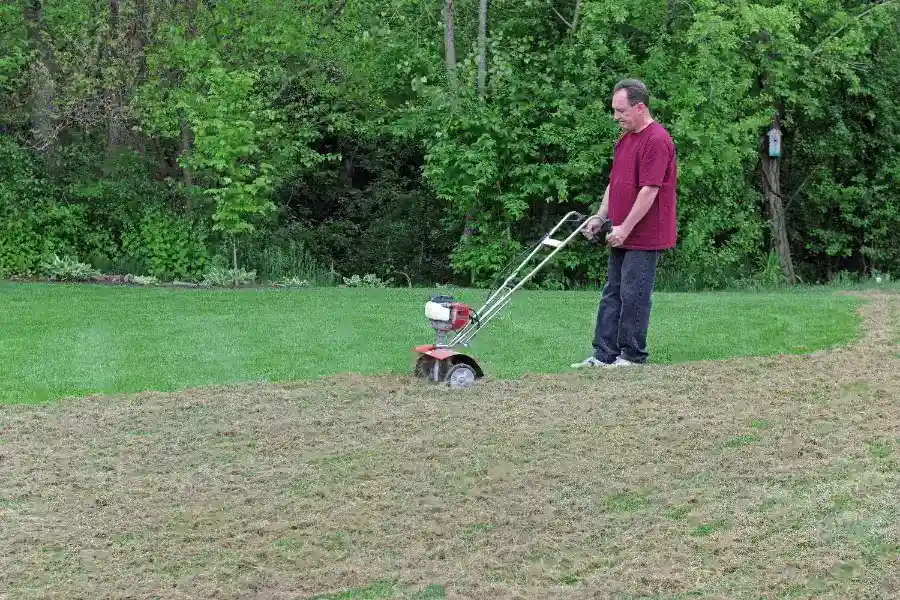 Dependable Dethatching in Fargo, ND
