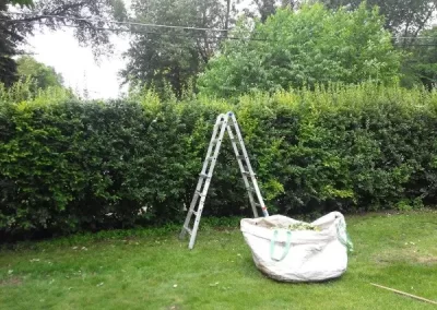 Excellent Landscaping Contractor
