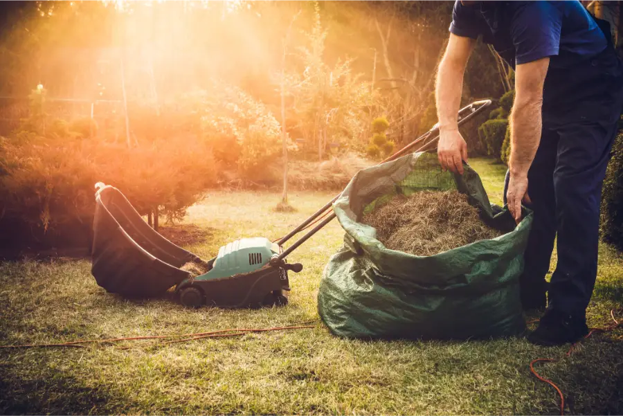 How Frequent Mowing Impacts Lawn Weeds Fargo, ND