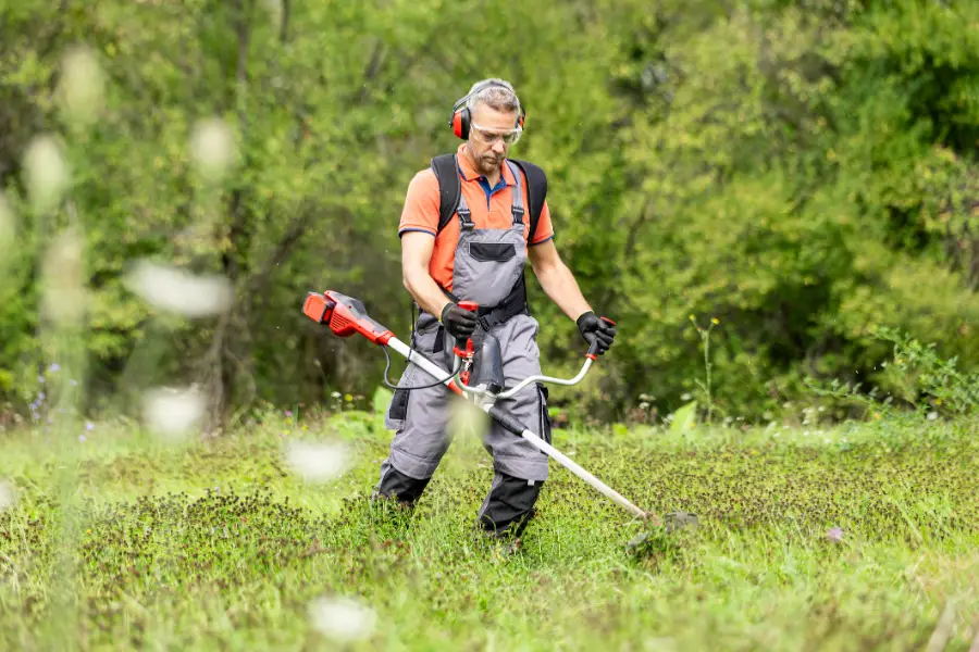 How Frequent Mowing Impacts Lawn Weeds in Fargo, ND