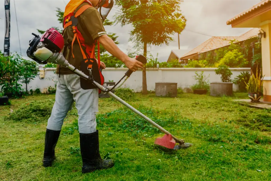 How Mowing Affects Weed Growth Fargo, ND