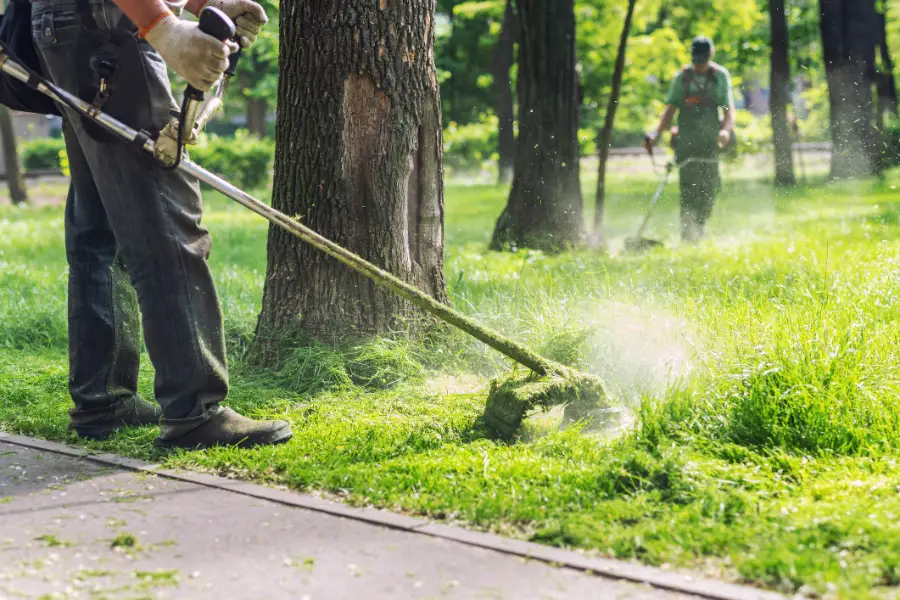 How Mowing Affects Weed Growth in Fargo, ND