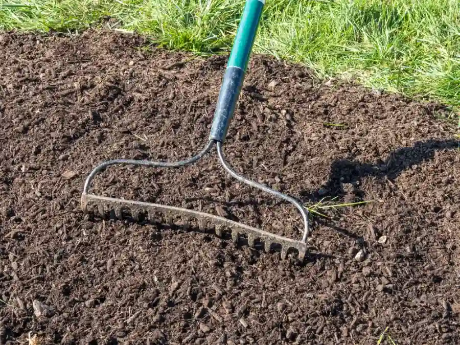 Overseeding Benefits for Seasonal Lawns in Fargo, ND Overseeding Benefits for Seasonal Lawns in Fargo, ND