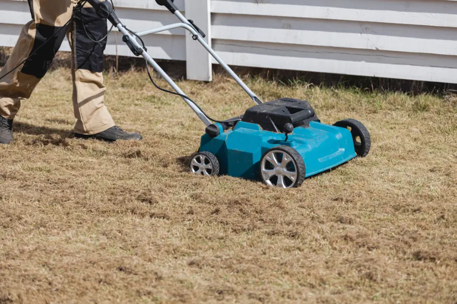 When Should You Dethatch Your Lawn Fargo, ND