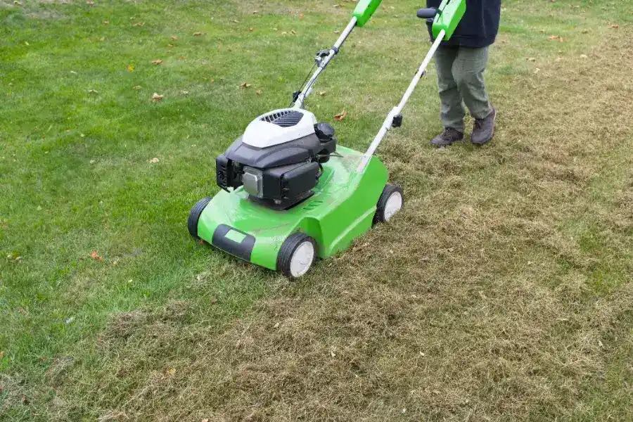 When Should You Dethatch Your Lawn in Fargo, ND